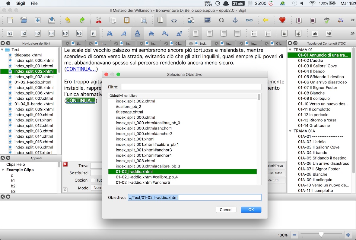 Il software Sigil all'opera...
